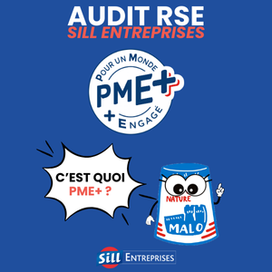 Audit RSE PME +