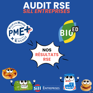 Audit RSE Sill Entreprises